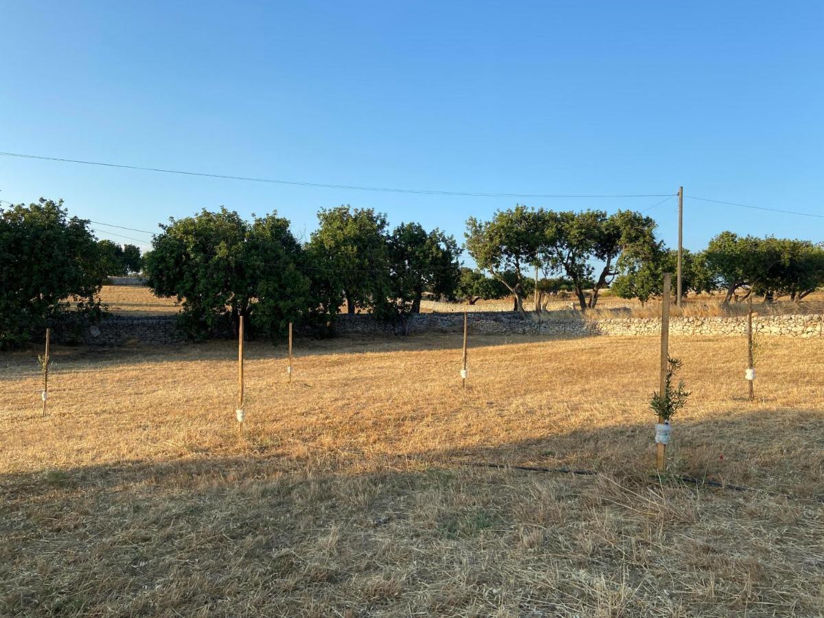 Villa Rifugio Tra Gli Ulivi Marina di Ragusa Exterior foto