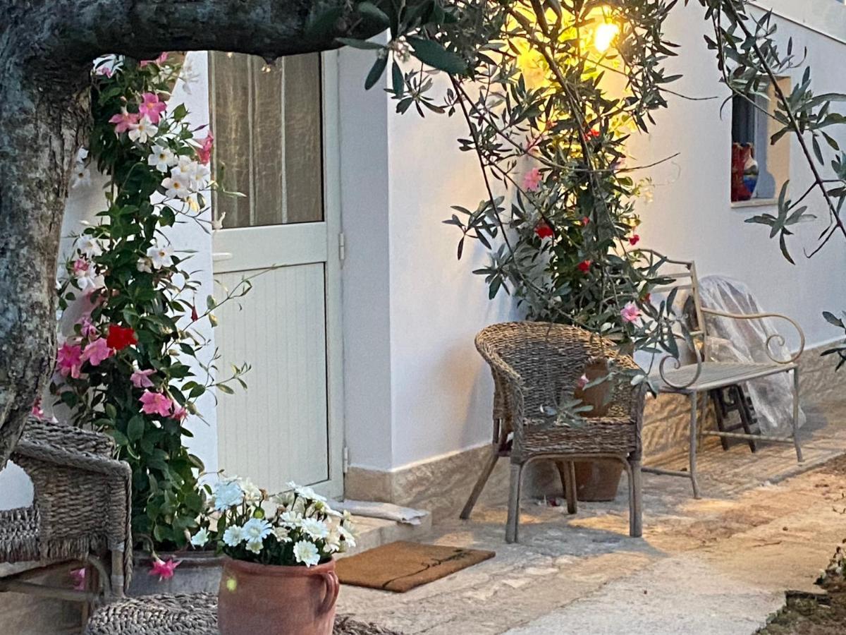Villa Rifugio Tra Gli Ulivi Marina di Ragusa Exterior foto