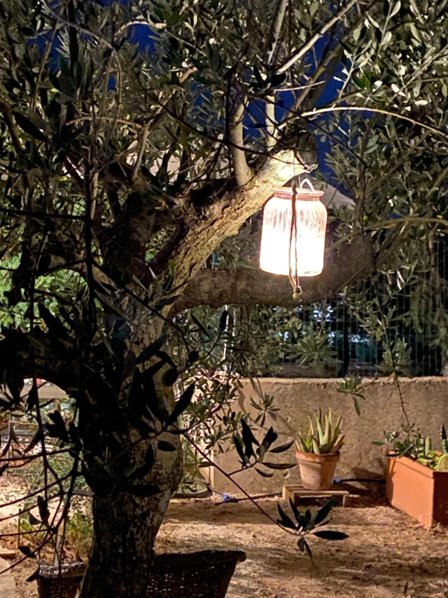 Villa Rifugio Tra Gli Ulivi Marina di Ragusa Exterior foto